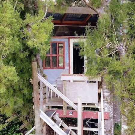 Hotel The Treehut At The Rabbithole, Upper Hutt Akatarawa Exterior foto